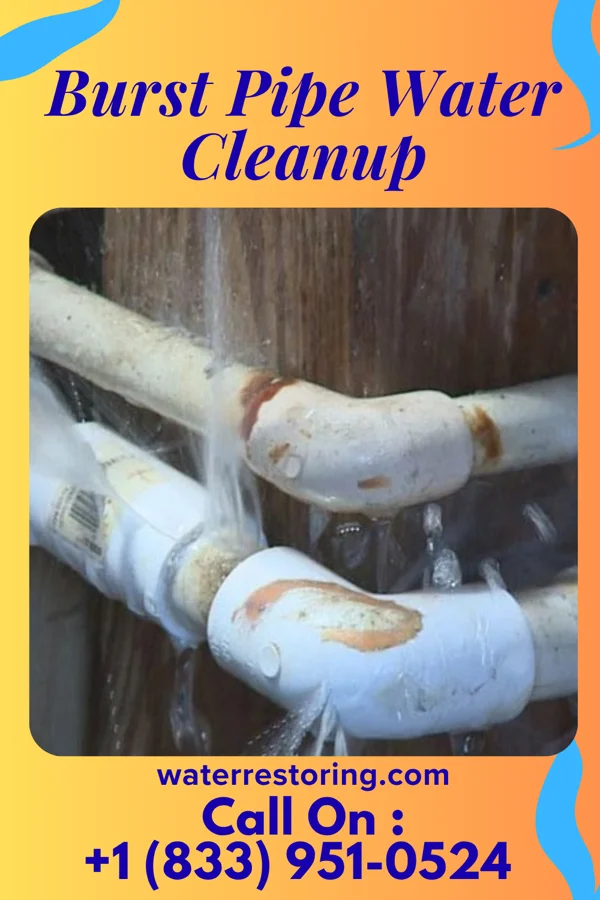 Burst Pipe Water Cleanup in Oak Park, IL