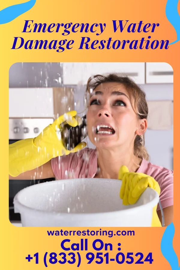 Emergency Water Damage Restoration in Oak Park, IL